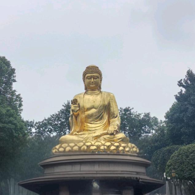 左踏乌龟右踏蛇。