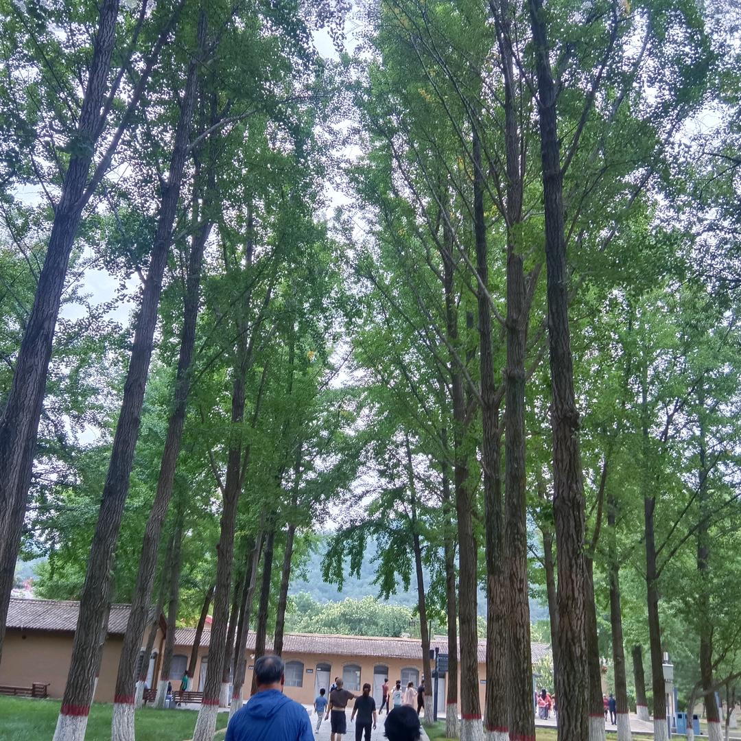 人生苦短