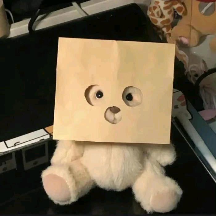 不是坏坏
