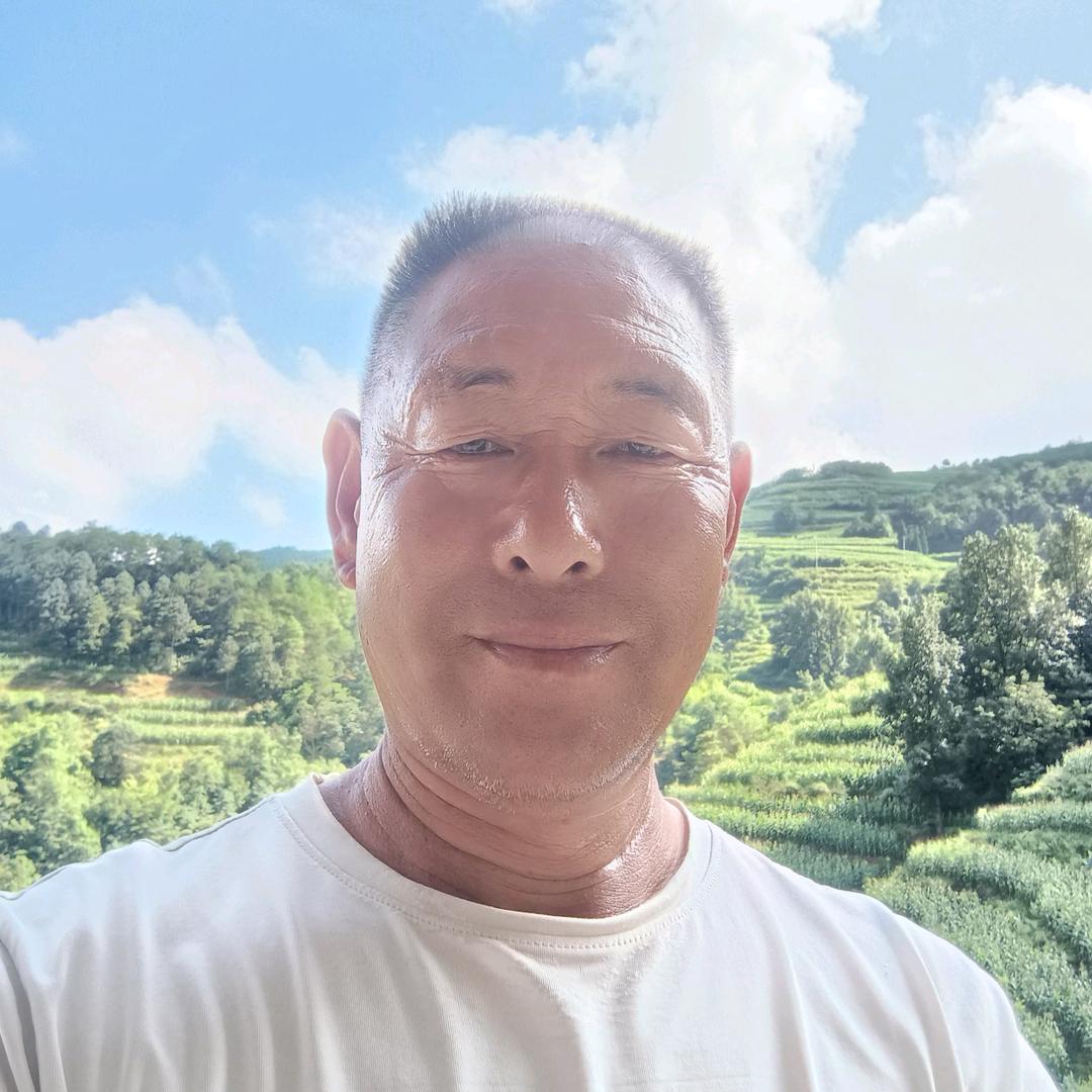 平安哥
