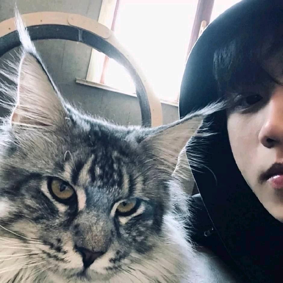 ︋︋   ㅤ ㅤㅤ︋︋︋︋︋