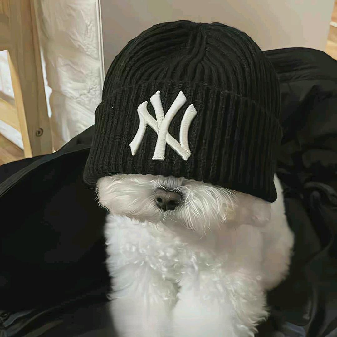 ----------