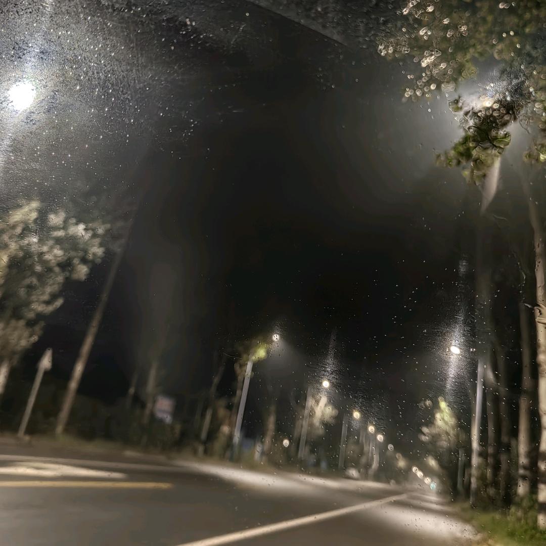 元气小森林