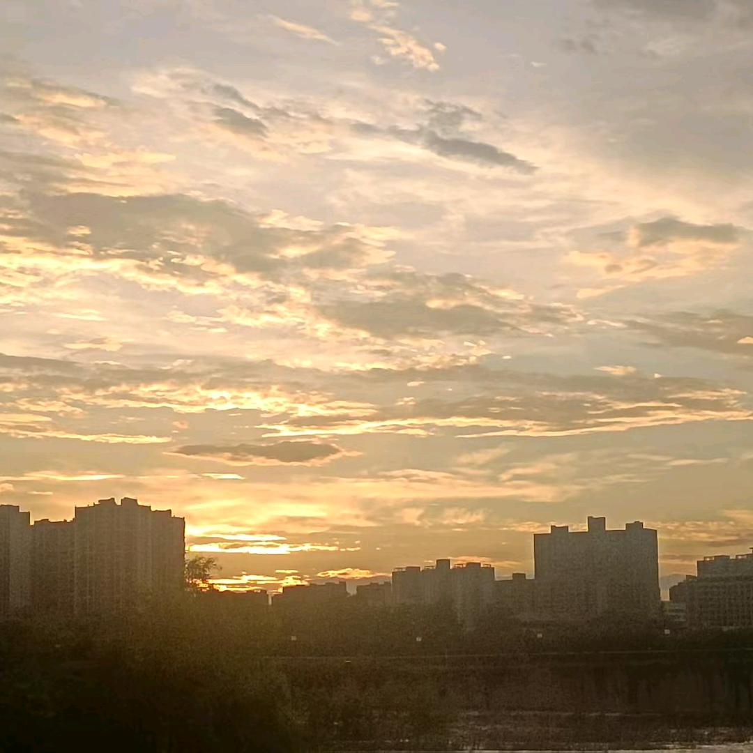 自  渡
