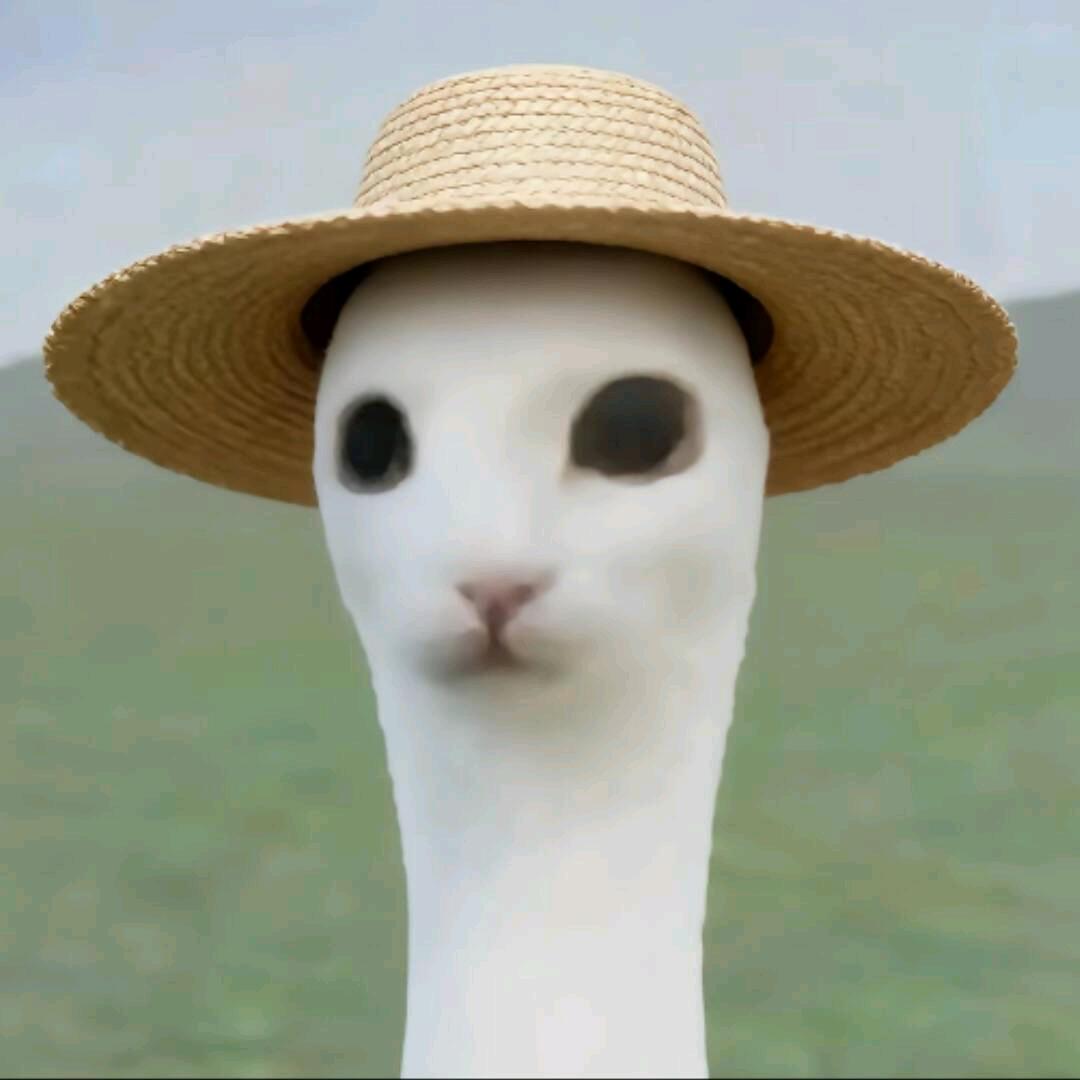 vv.