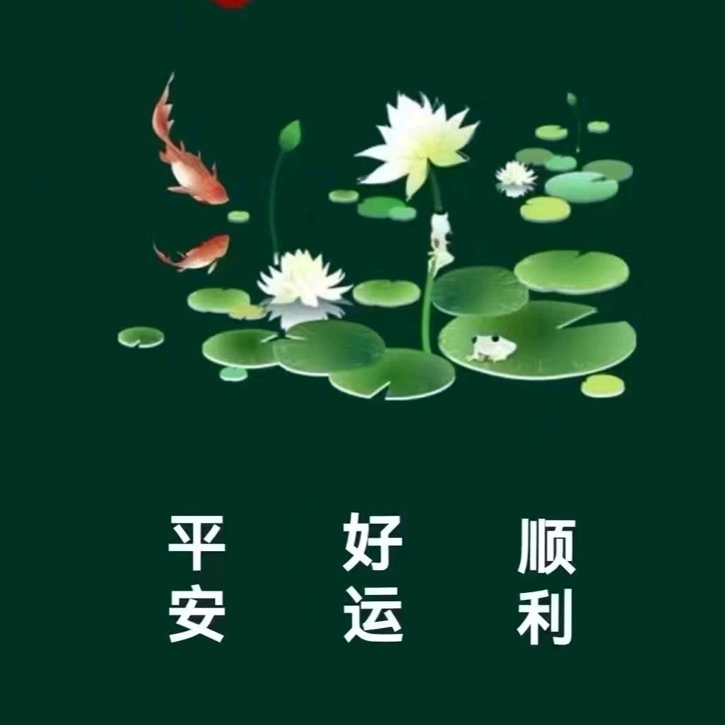 好运连连🙏
