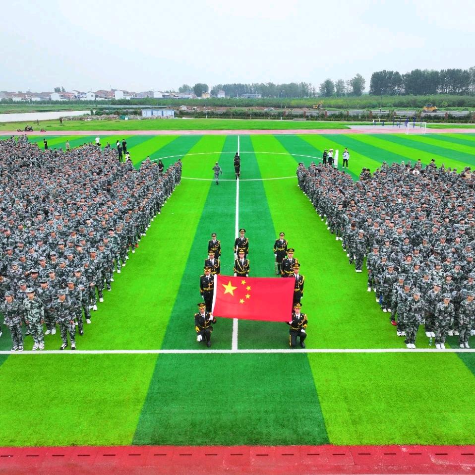 升学指导柳老师