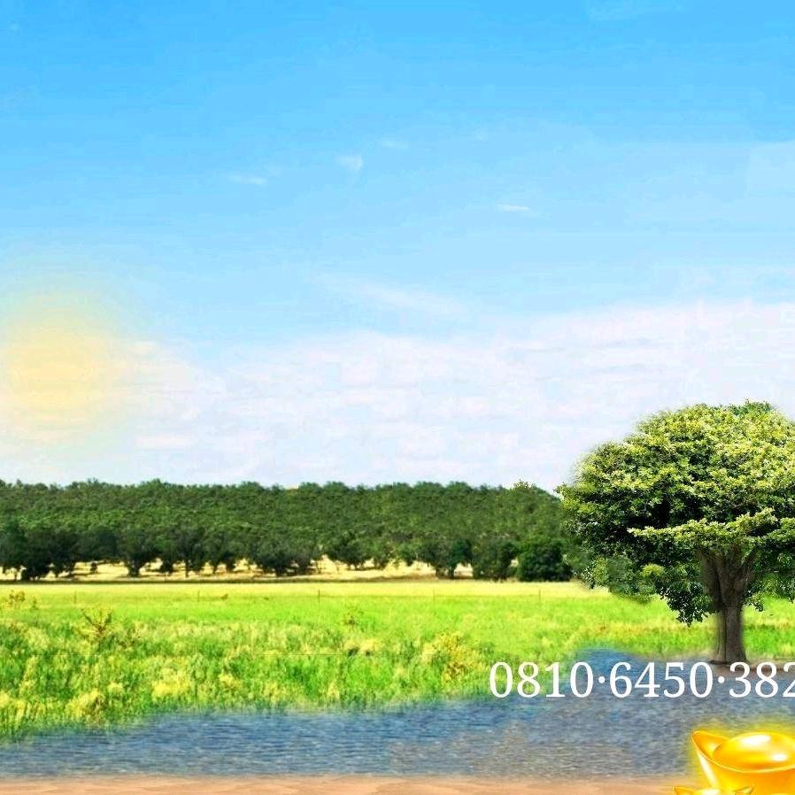 重出江湖