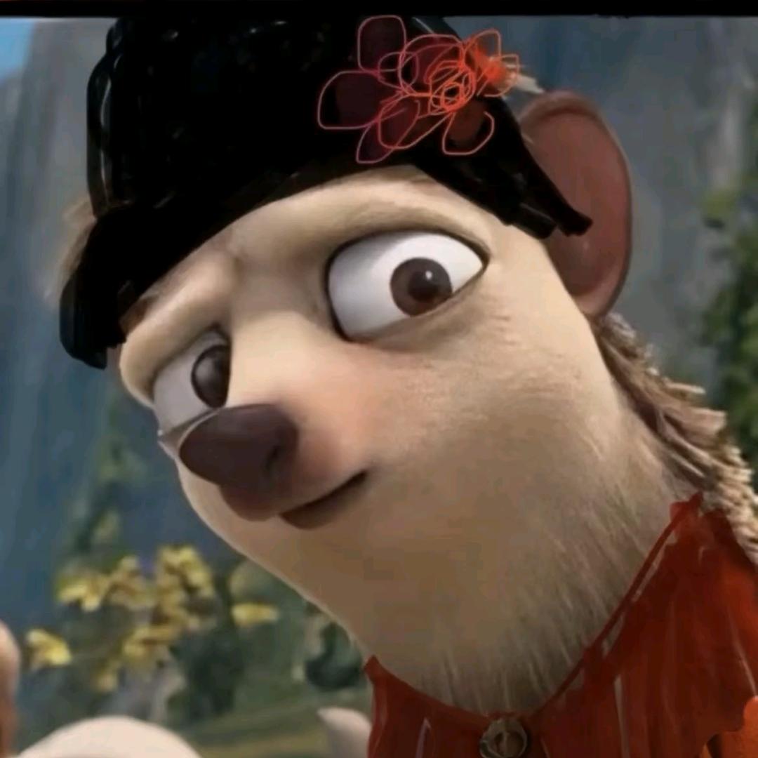 大龙猫的小可爱。