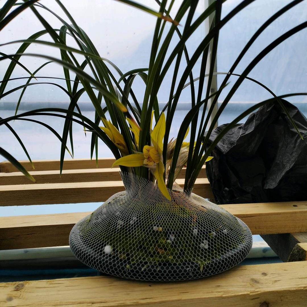 一笑而过