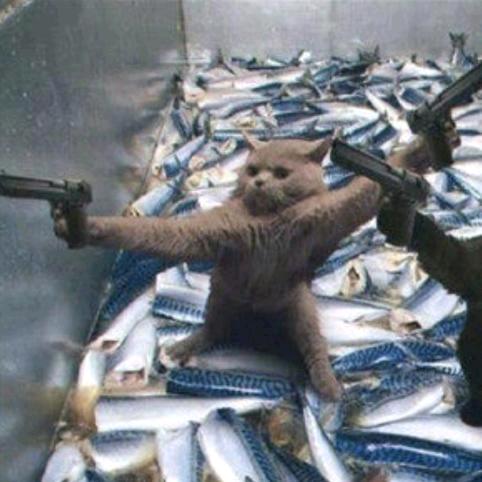 当个废物继续睡