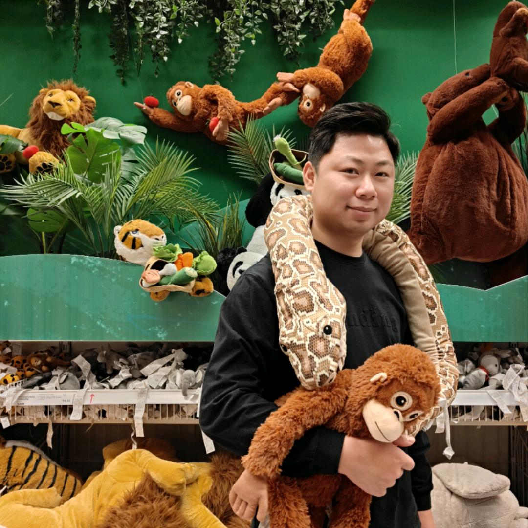 沈阳金融 大圣