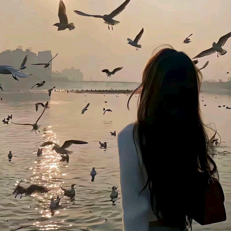 🌈♡浮光浅夏♪♬