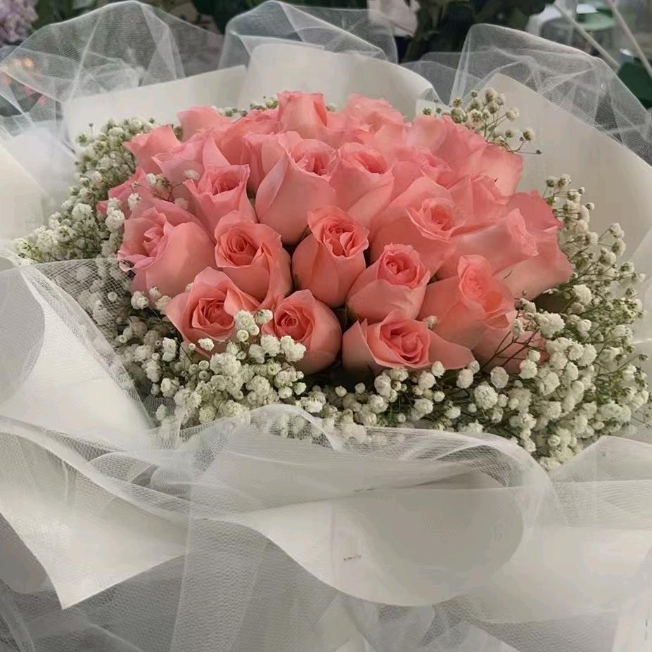 冰蓝紫竹
