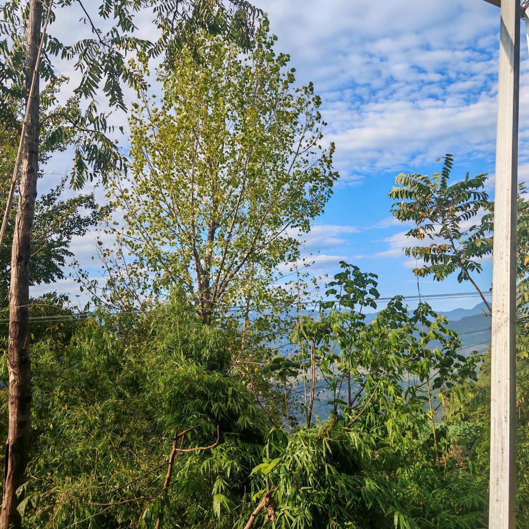 美（梅）好🌹心意