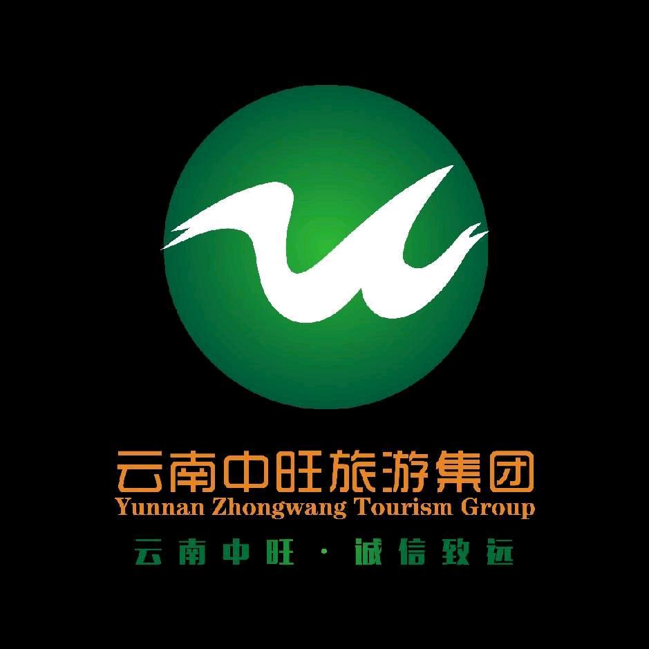 国内外旅游服务
