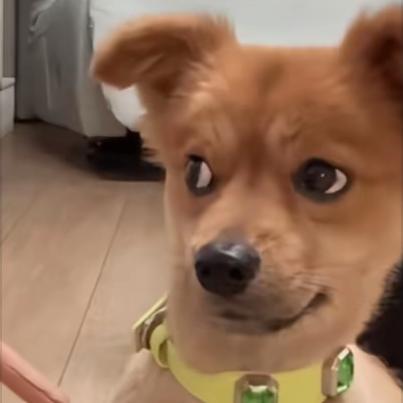 無心话