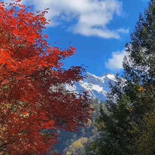 🌻🌻农村姑娘🌻🌻