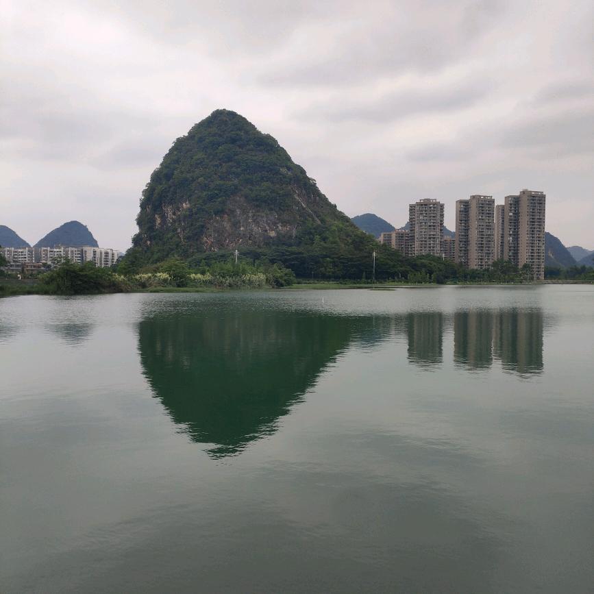 草原飞鹰