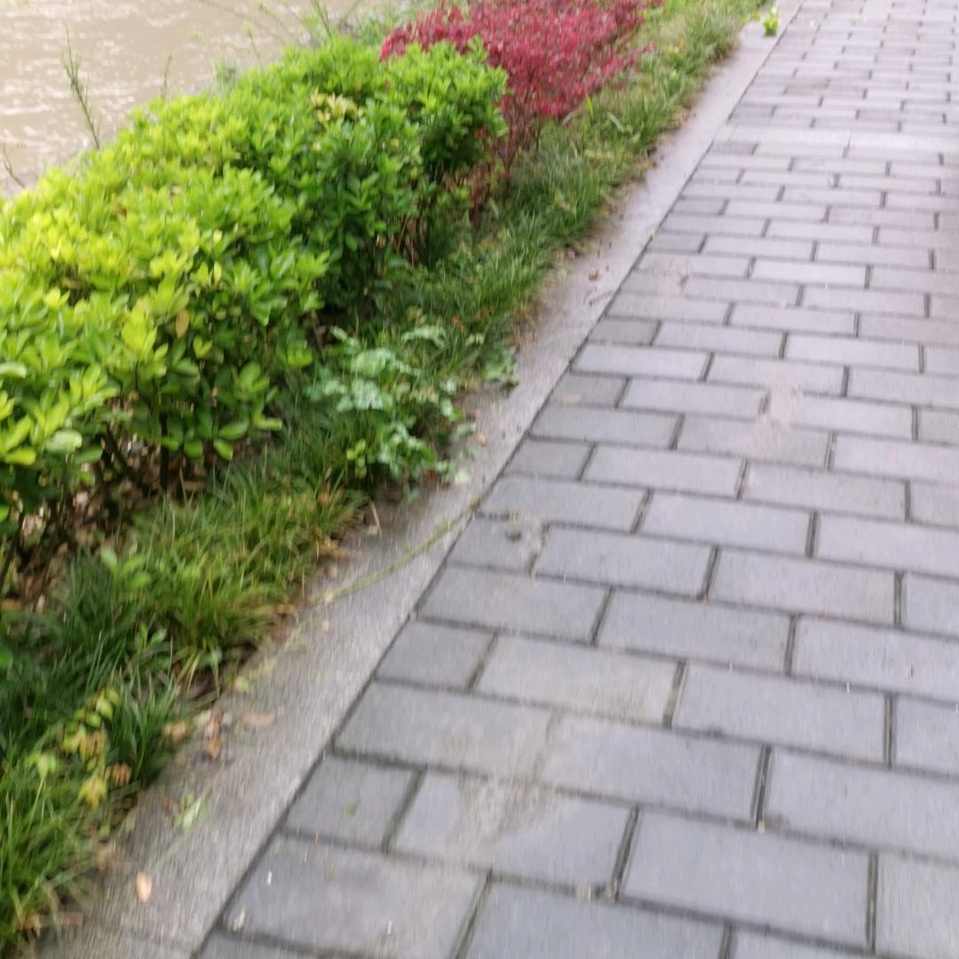 小丸子