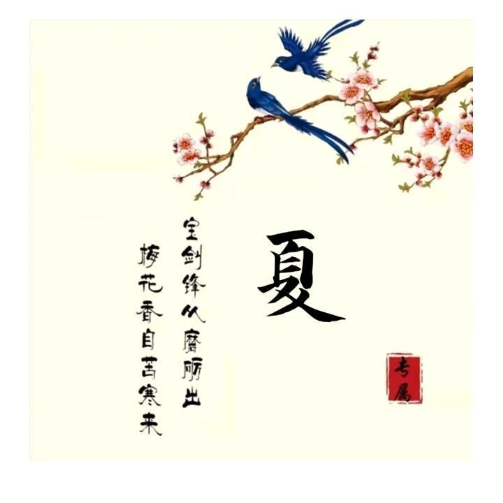 α风吹雨打