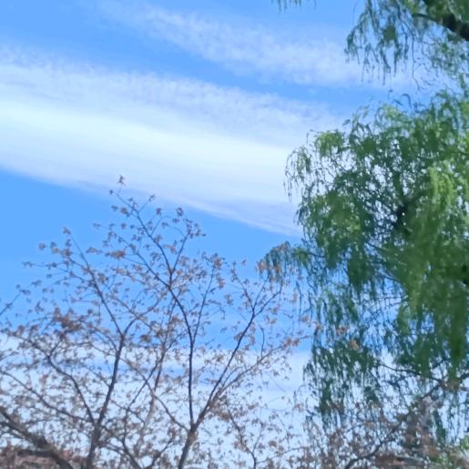 好运连连
