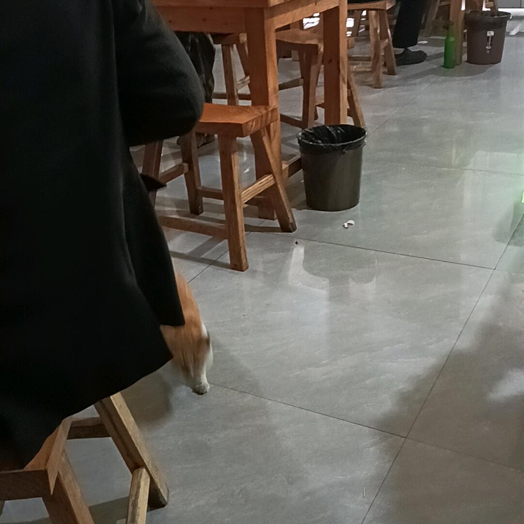 用户