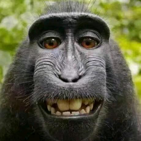 经典