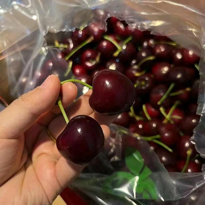 楠楠臻果优选
