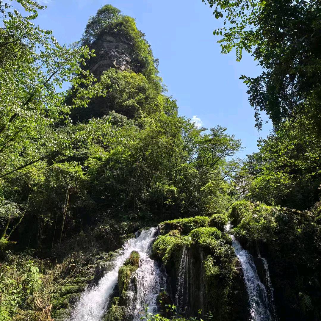 柒月【手机摄影】