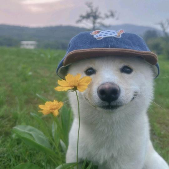 蜡笔大新