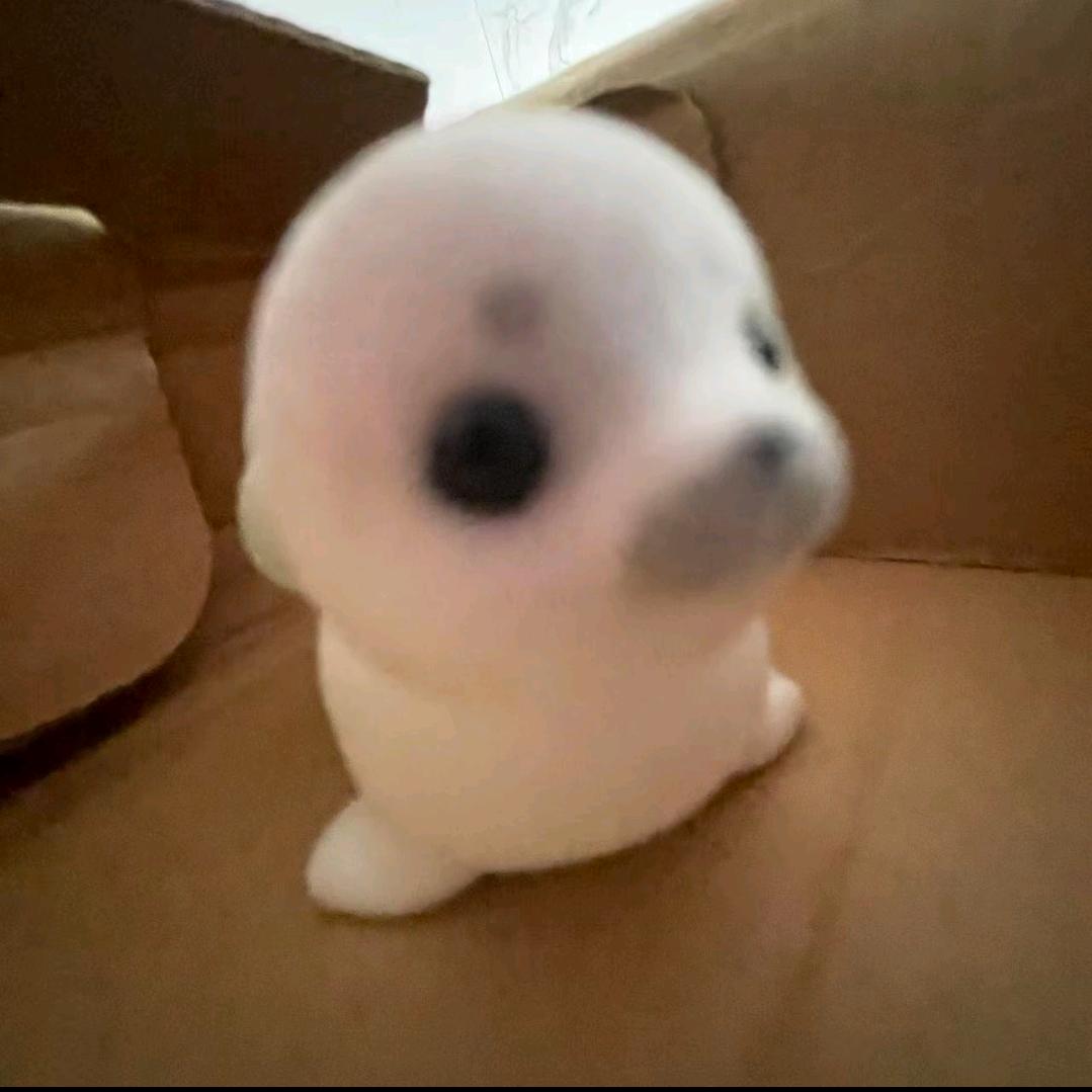 不是海豹
