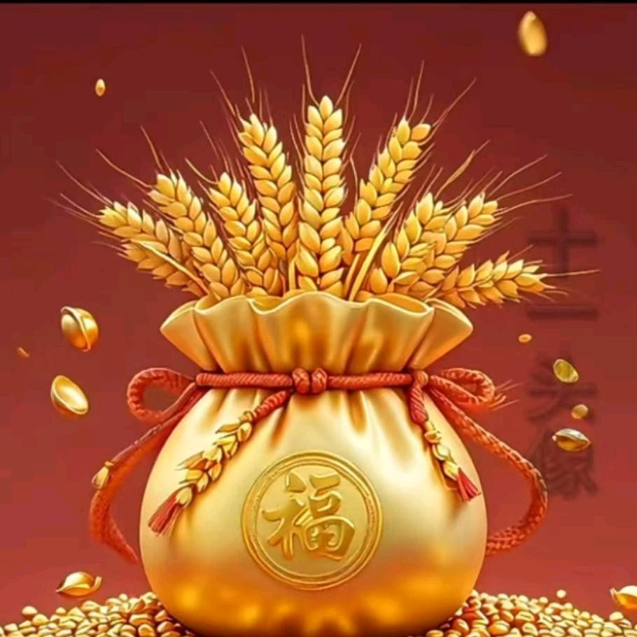 赵赵好物