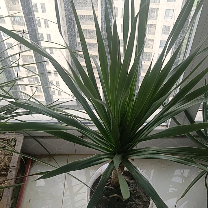 全耀建设