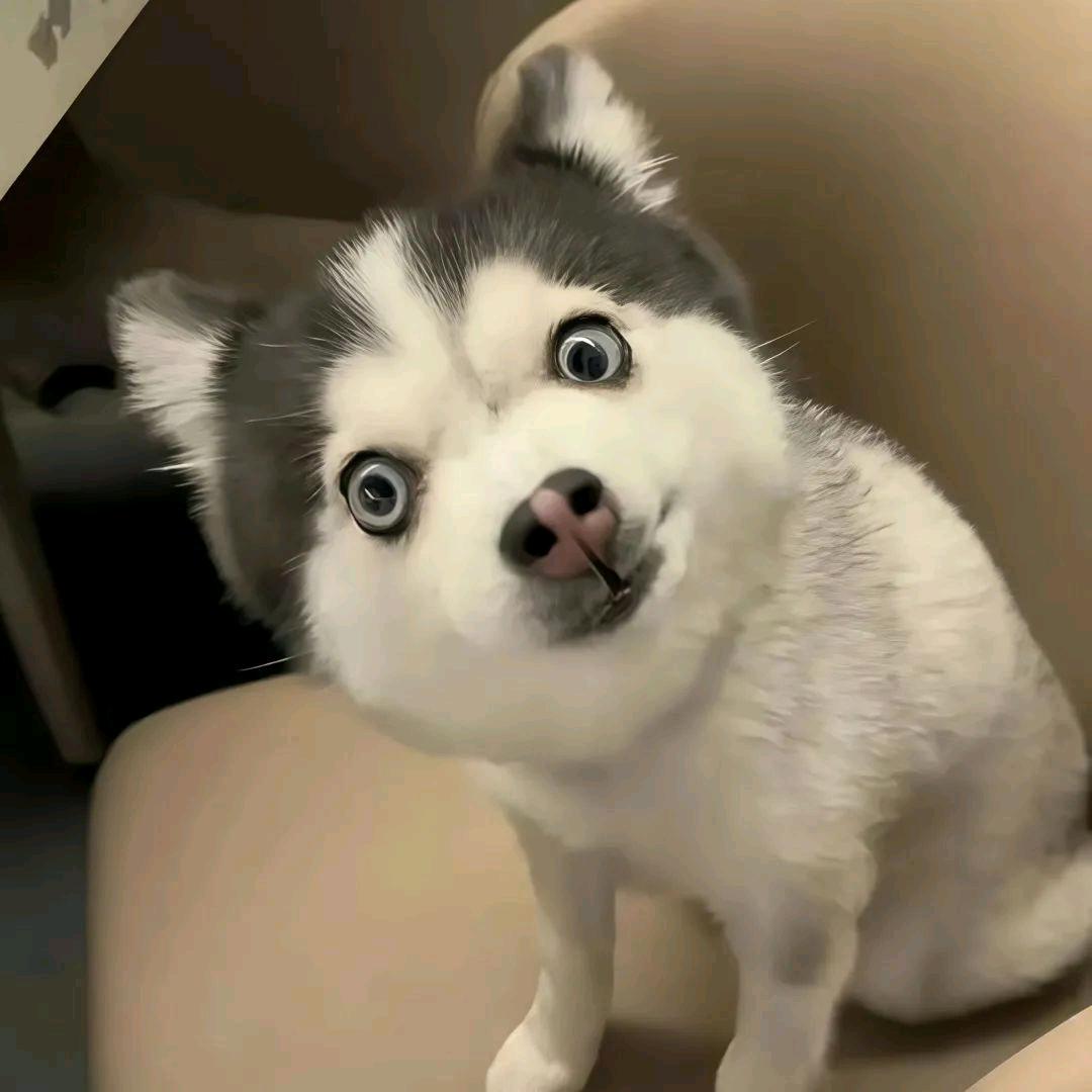 网恋被骗三年