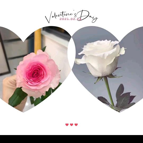 ꧁꫞꯭🌸王꯭🌸꫞꧂
