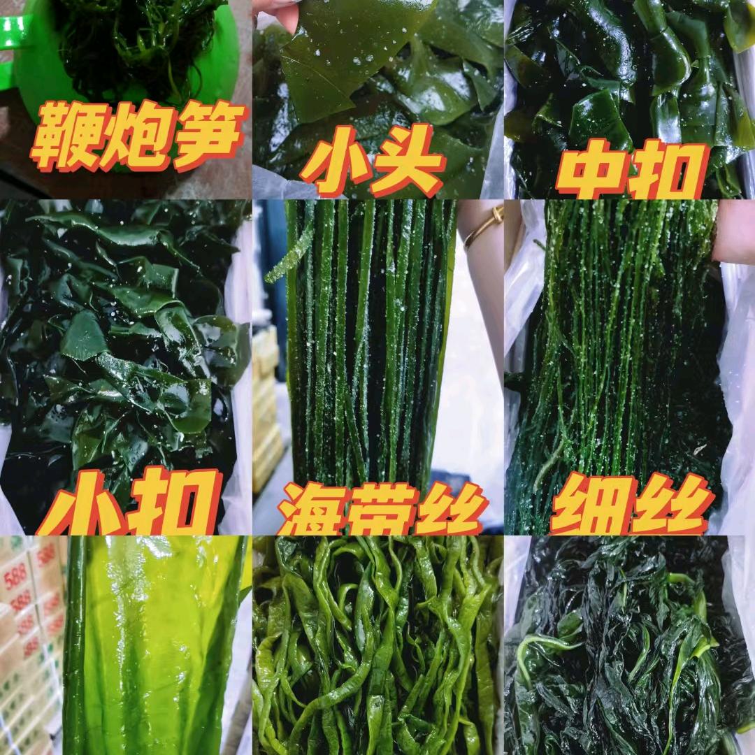 海带批发大全