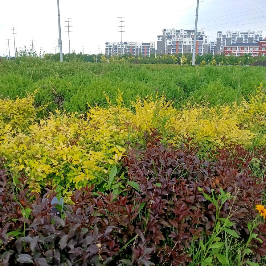 繁华落尽一场空