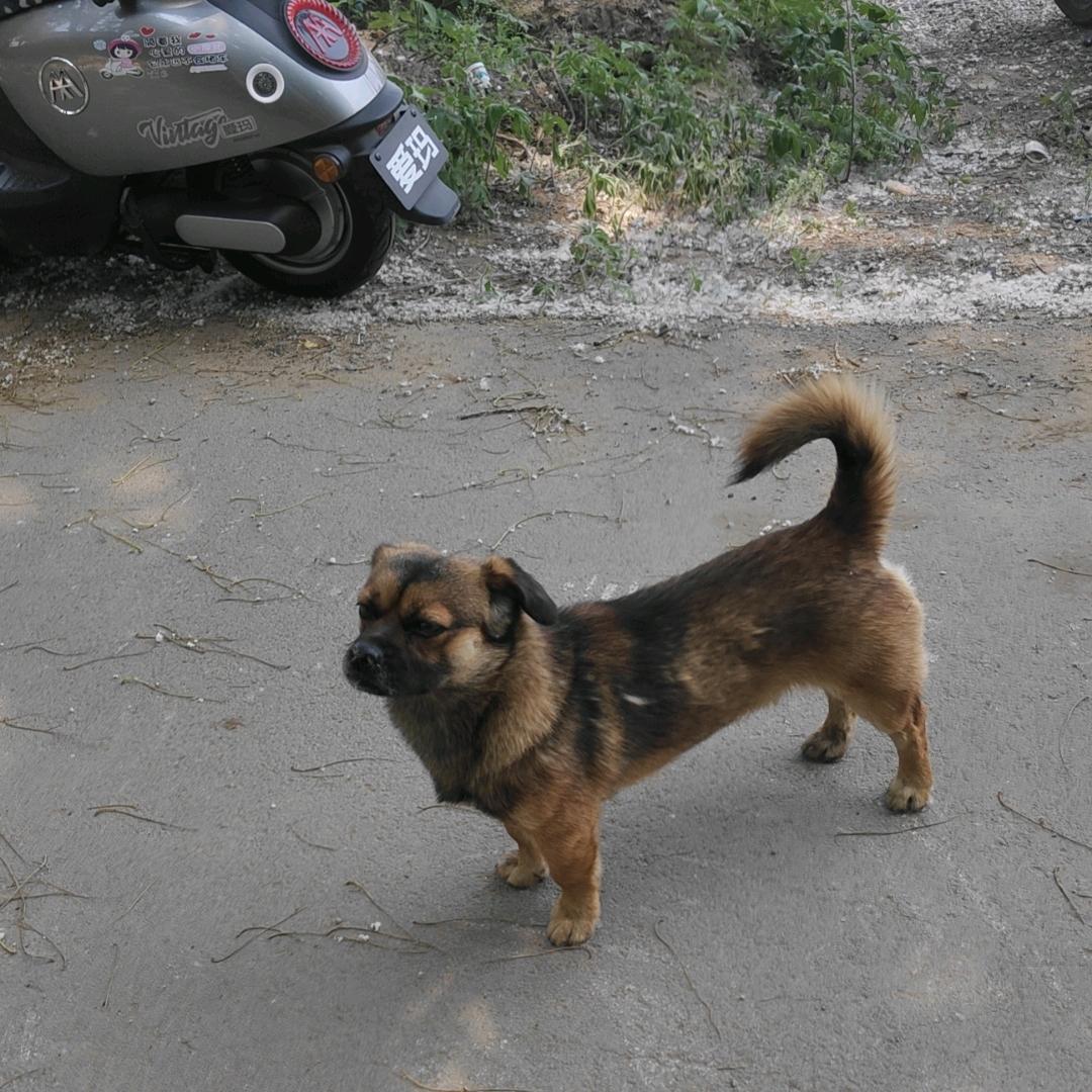 我的生活里有你