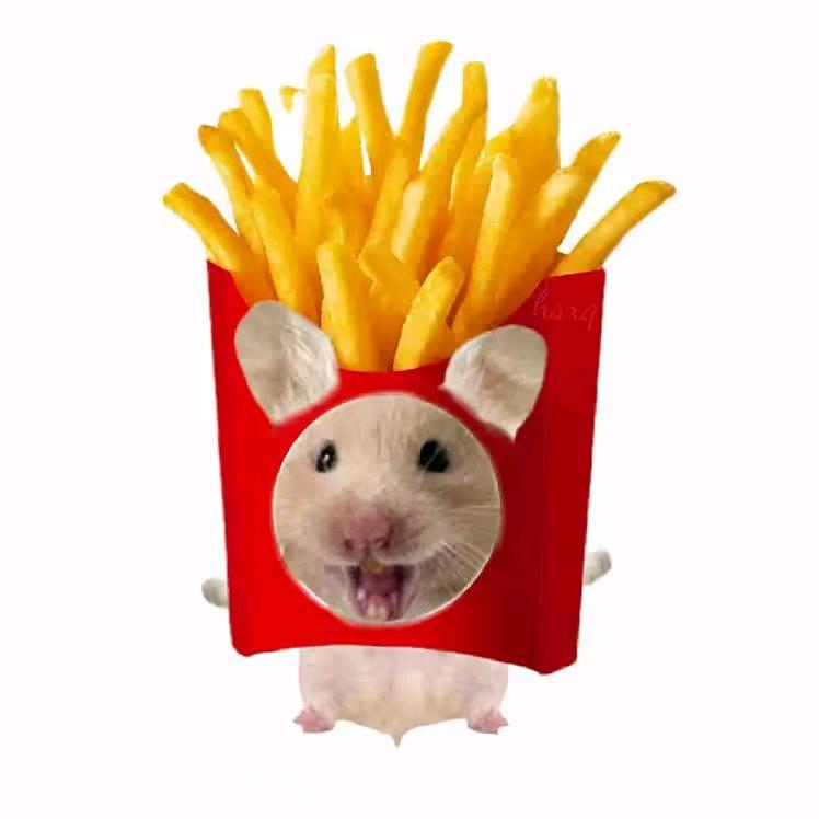 〖^小妍敲可爱^〗