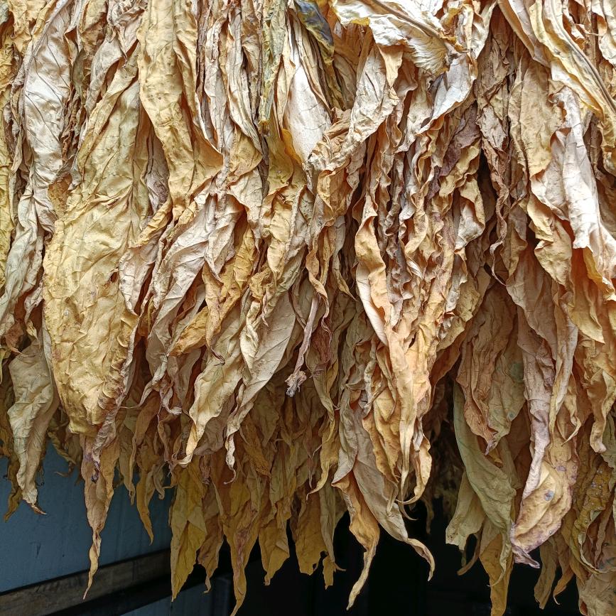 此账号已注销