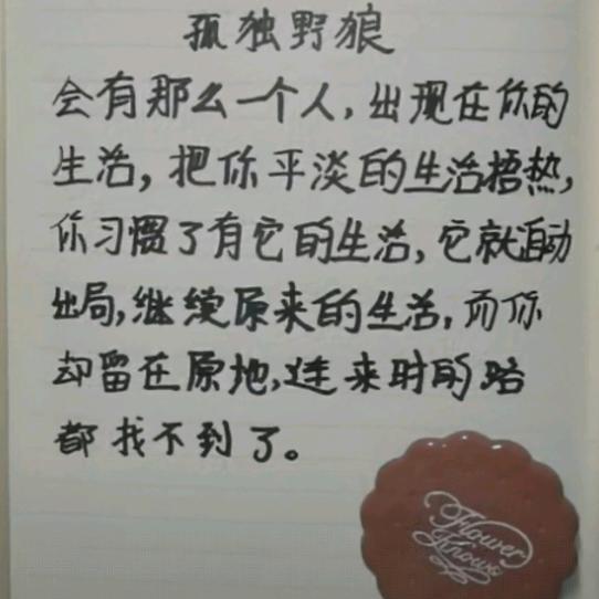 孤独野狼。