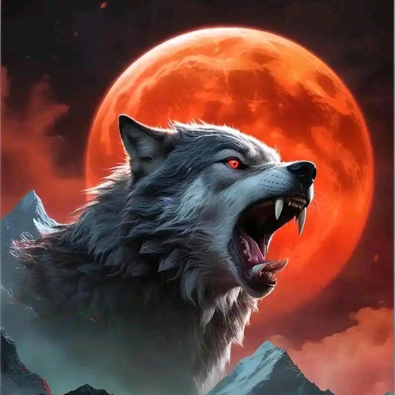 ᭄ℯ⃝孤傲ღꦿ꯭的狼᭄