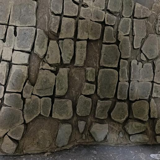 山里人家，聊，武陵奇石