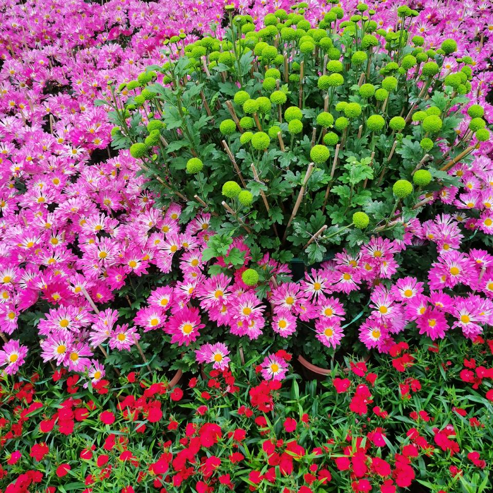 别在伤害我孤独《80》