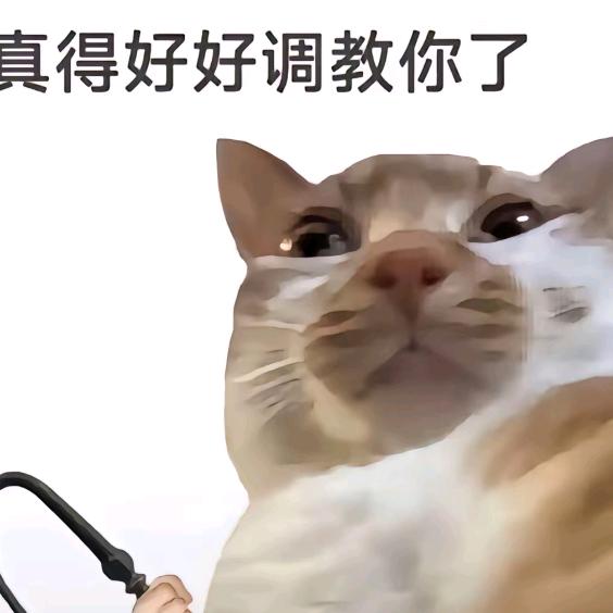 施恩（博弈大师）