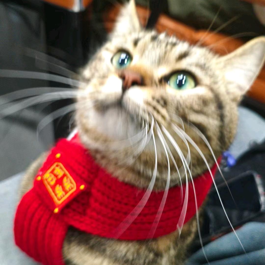 开开