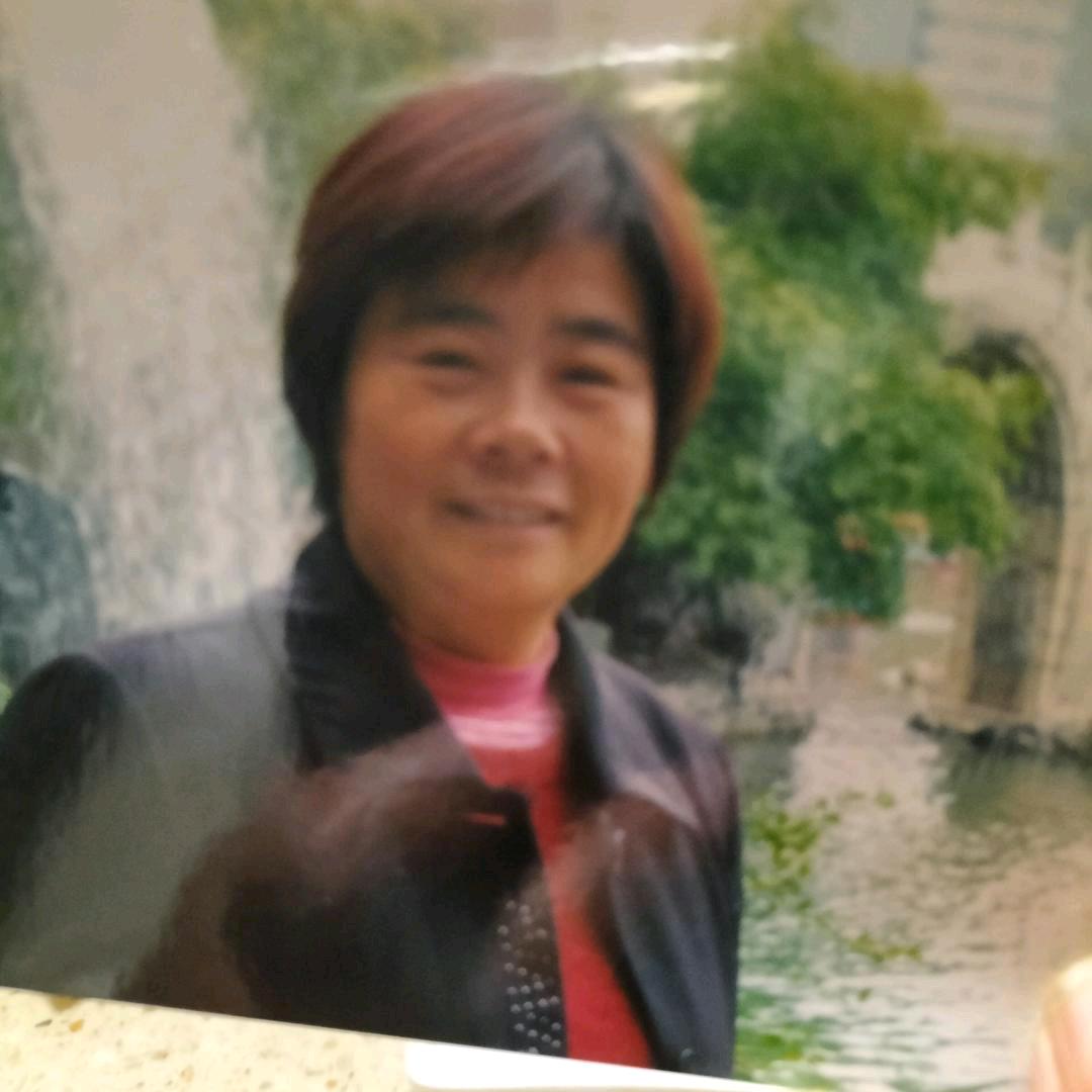 春凤杨柳