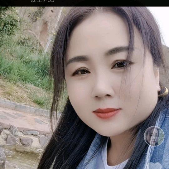 刘燕.