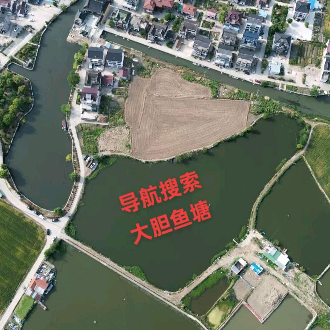 大胆鱼塘